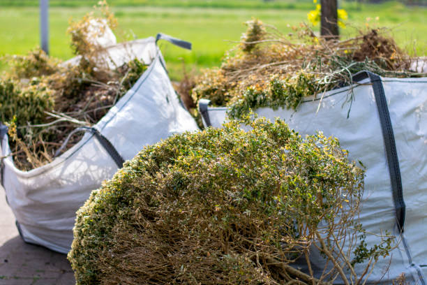 Best Attic Cleanout Services  in Island Heights, NJ